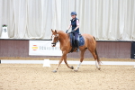SBM_008380