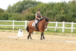 SBM_000509