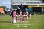 BPP_6804