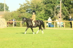 SBM_59179