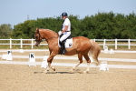 SBM_010781