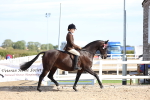 SBM_17569