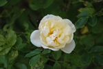 F5