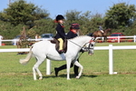 Class 31: Lead Rein SP/SHP portfolio