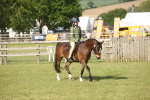 SBM_10202