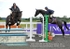 Fiona Burgoyne 2