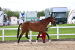 SBM_02465