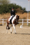 SBM_015098