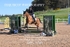 BPP_1786
