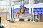 SBM_009340