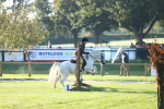 SBM_37170