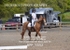 BPP_5552