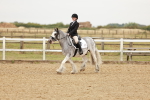 SBM_007481