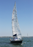 120725 FREEDON K4233T WT7A8641
