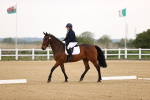 SBM_006449