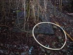 Remnant 4