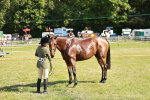 SBM_18909