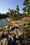_DSC0931