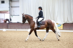 SBM_000719