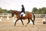 SBM_002013