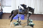 SBM_009517