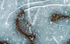 Ice Bubbles