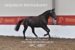 JAC_4807