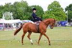 SBM_02932
