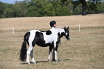 WJ6_8534