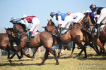 Vine & Craven Point-To-Point - Barbury 23/02/19 portfolio