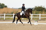 SBM_003613