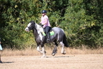 WJ6_8497