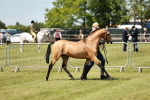 SBM_05567