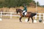 SBM_009650
