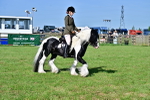 SBM_11620