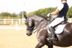 SBM_001952
