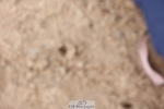 250719-100742-13804