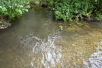 WJ7_9032