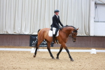 SBM_000919