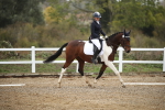 SBM_001090