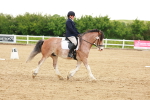 SBM_006411