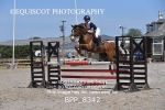 BPP_8342