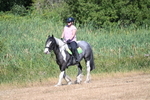 WJ7_8004