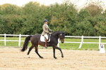 SBM_000220