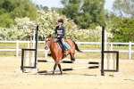SBM_007782