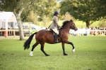 SBM_54253