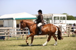 SBM_17731