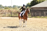 SBM_000799