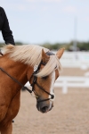 SBM_05744