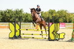 SBM_000509